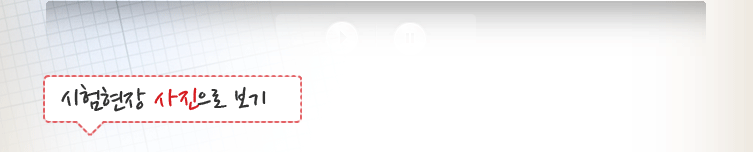 �������� �������� ����