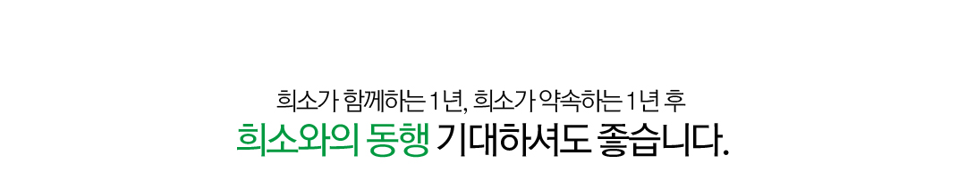 ��ҿ��� ����