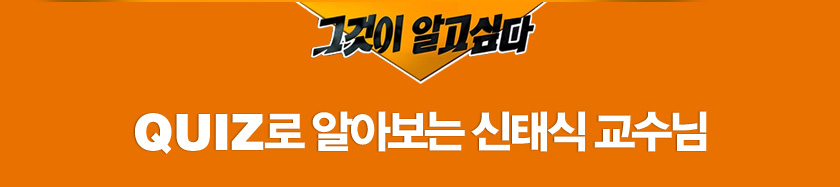 Quiz�� �˾ƺ��� ���½� ������